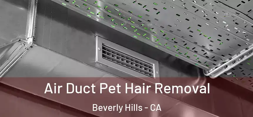 Air Duct Pet Hair Removal Beverly Hills - CA