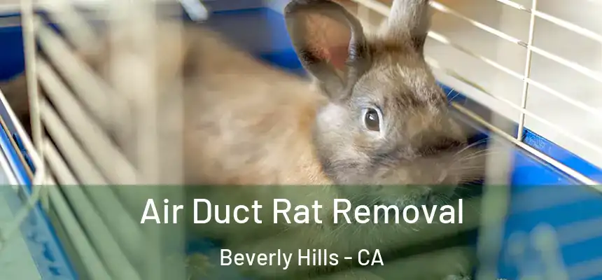  Air Duct Rat Removal Beverly Hills - CA