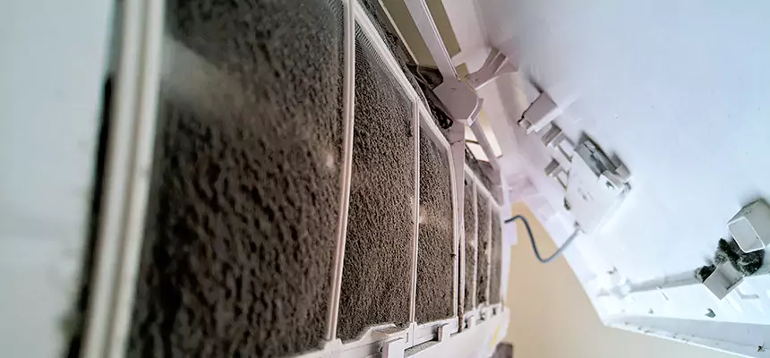 Preventive Air Duct Bacteria Removal in Beverly Hills