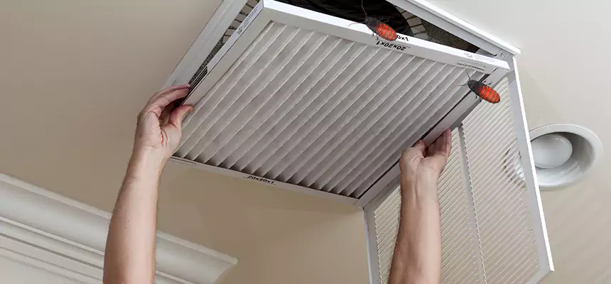 Preventive Cockroach-Proofing for Ducts in Beverly Hills