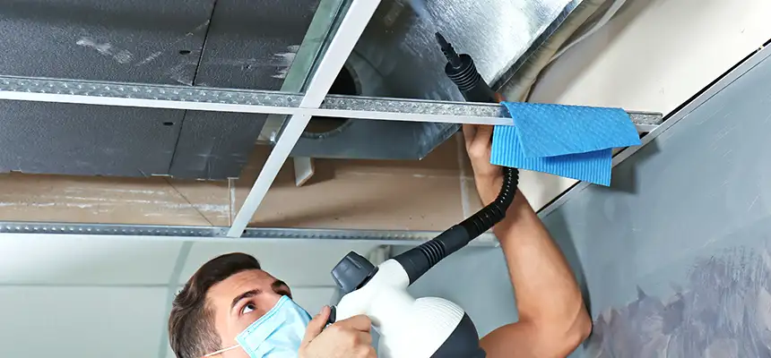 Our Air Duct Rodent Removal Services in Beverly Hills, CA