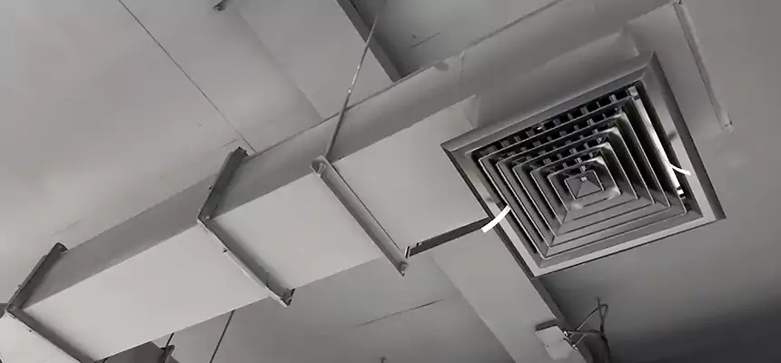 Our Rodent Droppings In Vents Services in Beverly Hills, CA