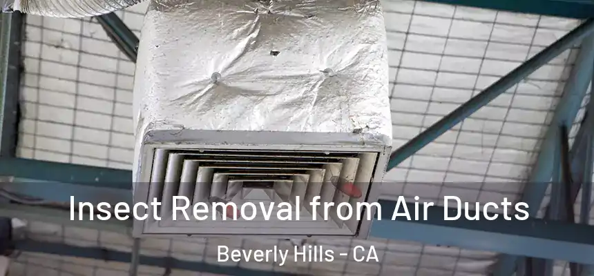  Insect Removal from Air Ducts Beverly Hills - CA