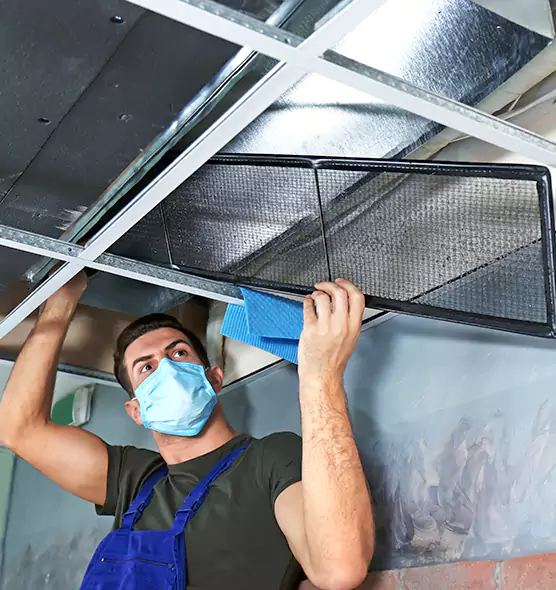 Professional Air Duct Pollen Cleaning in Beverly Hills, CA