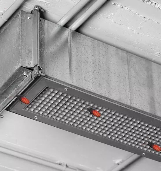 Affordable Insect Removal from Air Ducts in Beverly Hills, CA