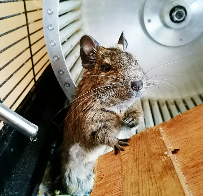 Why Homeowners & Businesses Trust Us Beverly Hills, CA