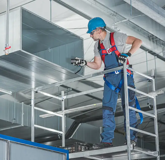 Why Homeowners & Businesses Trust Us in Beverly Hills, CA?