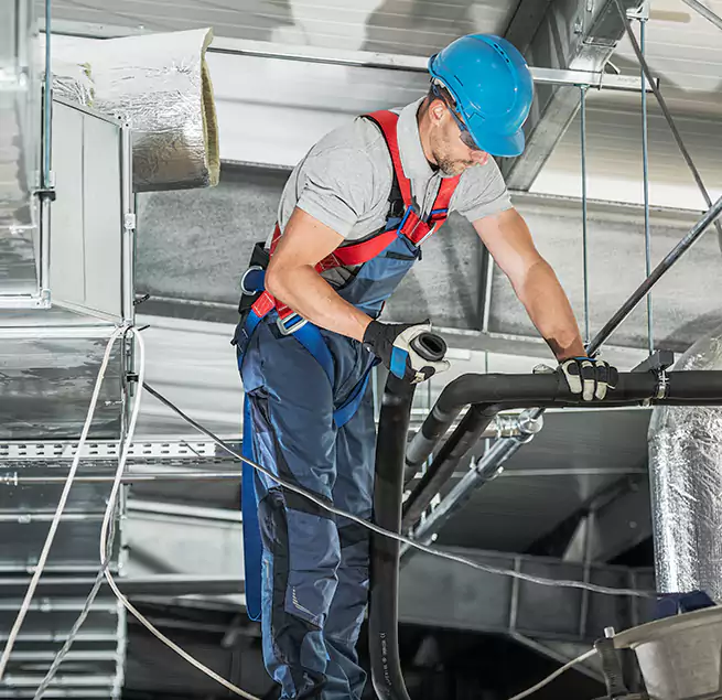 Why Homeowners & Businesses Trust Us in Beverly Hills, CA?