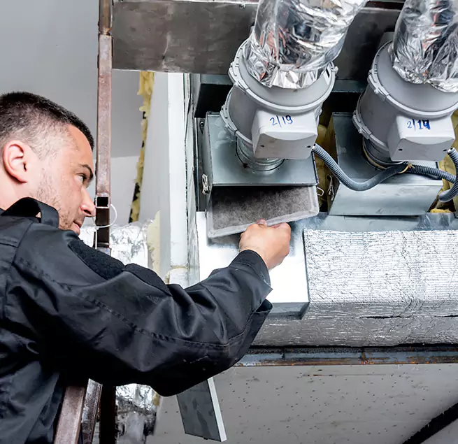 Why Homeowners & Businesses Trust Us in Beverly Hills, CA