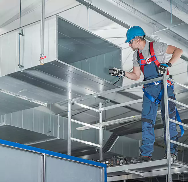 Why Homeowners & Businesses Trust Us in Beverly Hills, CA?