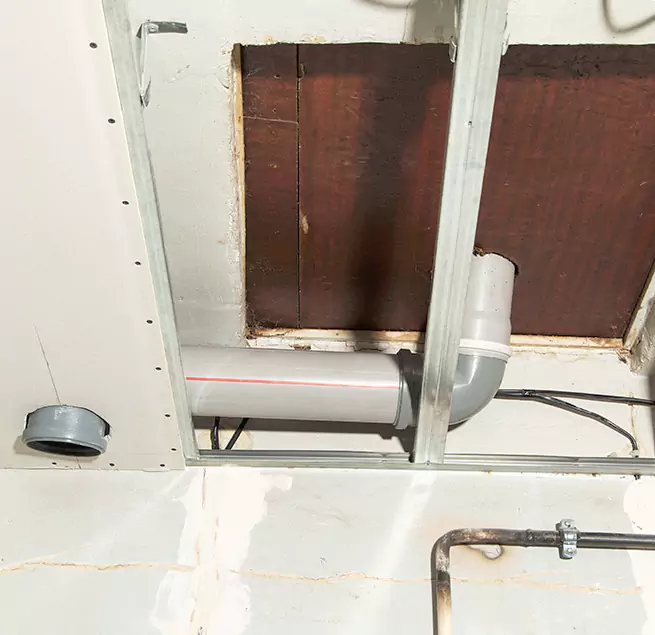 Why Homeowners & Businesses Trust Us in Beverly Hills, CA?