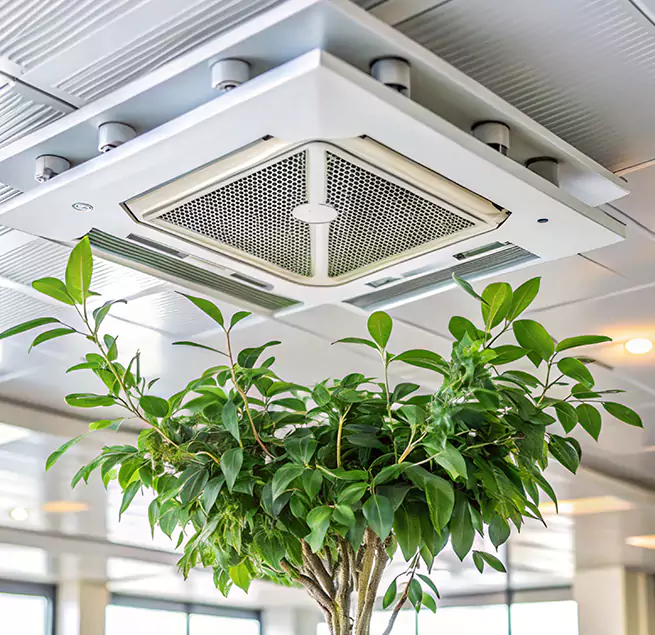 Why Homeowners & Businesses Trust Us in Beverly Hills, CA