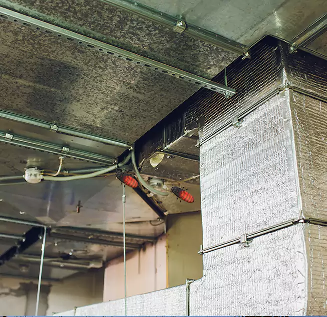 Why Homeowners & Businesses Trust Us Beverly Hills, CA?