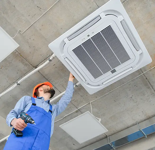 Why Homeowners & Businesses Trust Us in Beverly Hills, CA