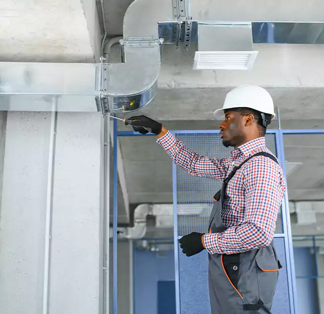 Why Homeowners & Businesses Trust Us in Beverly Hills, CA