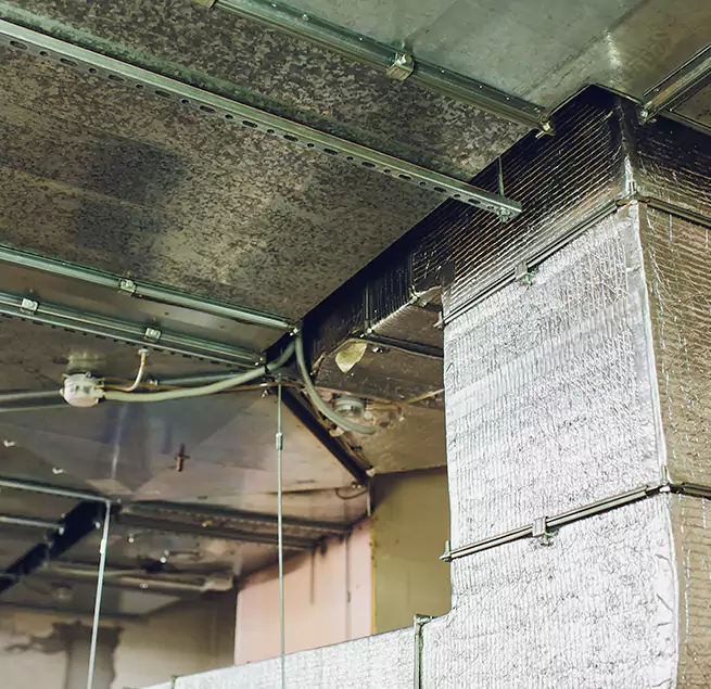 Why Homeowners & Businesses Trust Us in Beverly Hills, CA?