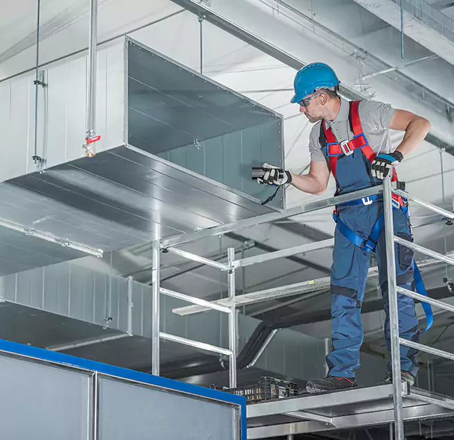 Why Homeowners & Businesses Trust Us Beverly Hills, CA