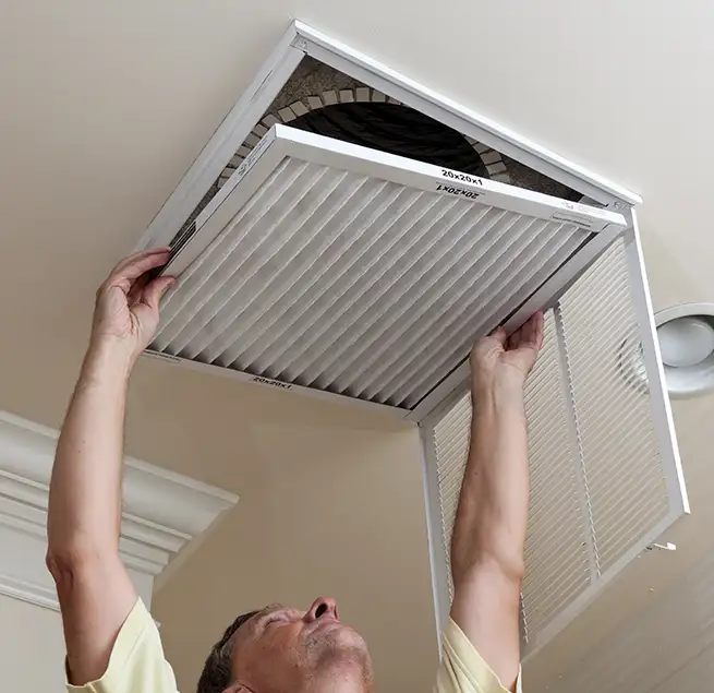 Why Homeowners & Businesses Trust Us in Beverly Hills, CA?