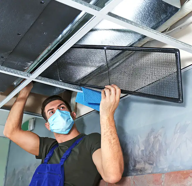 Why Homeowners & Businesses Trust Us in Beverly Hills, CA?