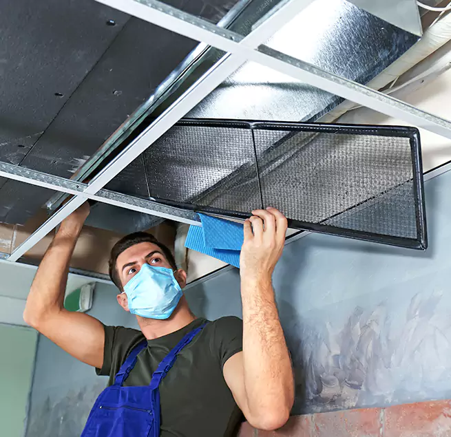  Why Homeowners Businesses Trust Us  in Beverly Hills, CA?